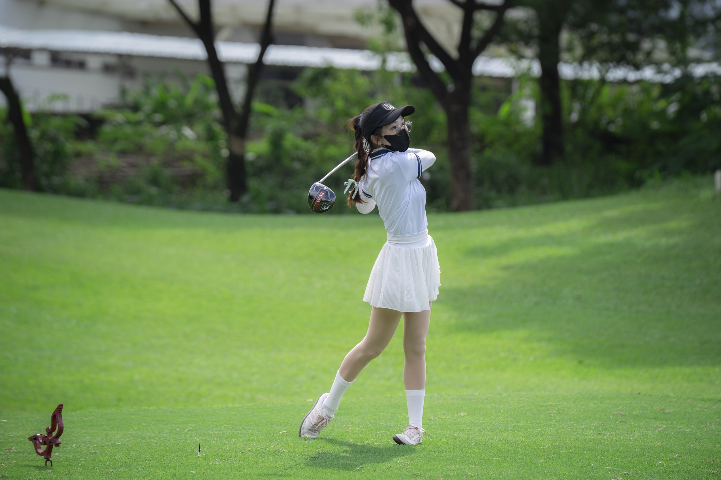 DSC03537